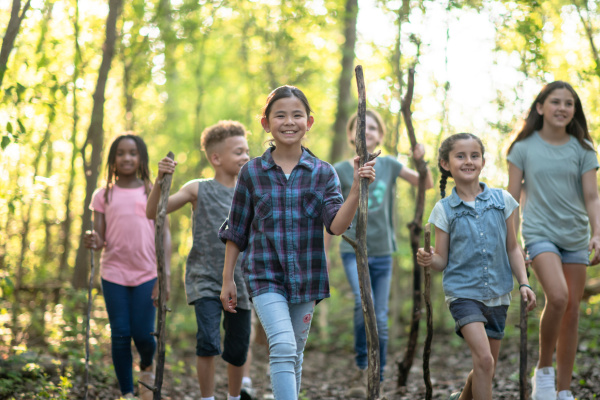 Children walking through woods with walking sticks
