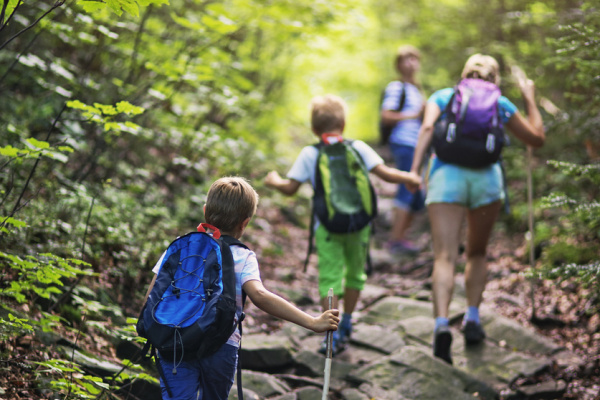 Children hiking through the woods