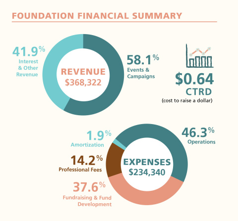 donut charts of revenue and expenditures