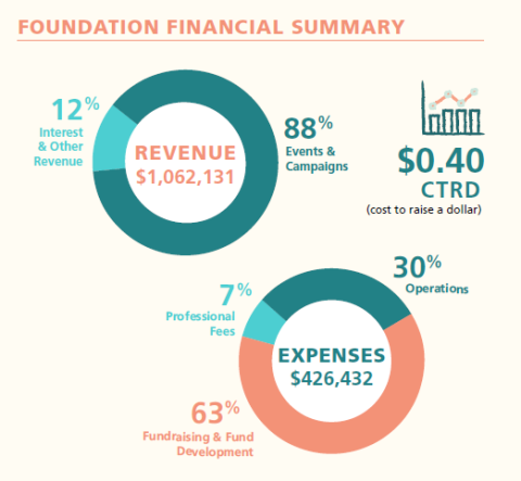 Pie charts of financial summary